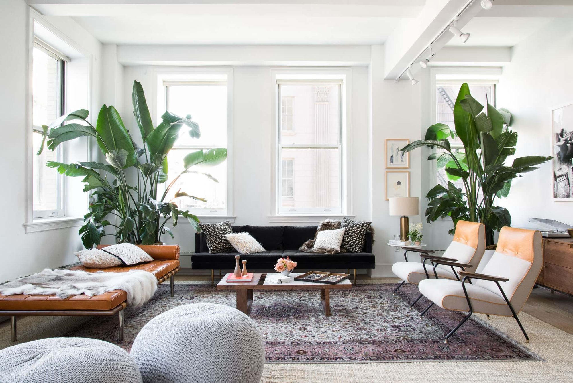 Scandinavian Living Room with statement plants